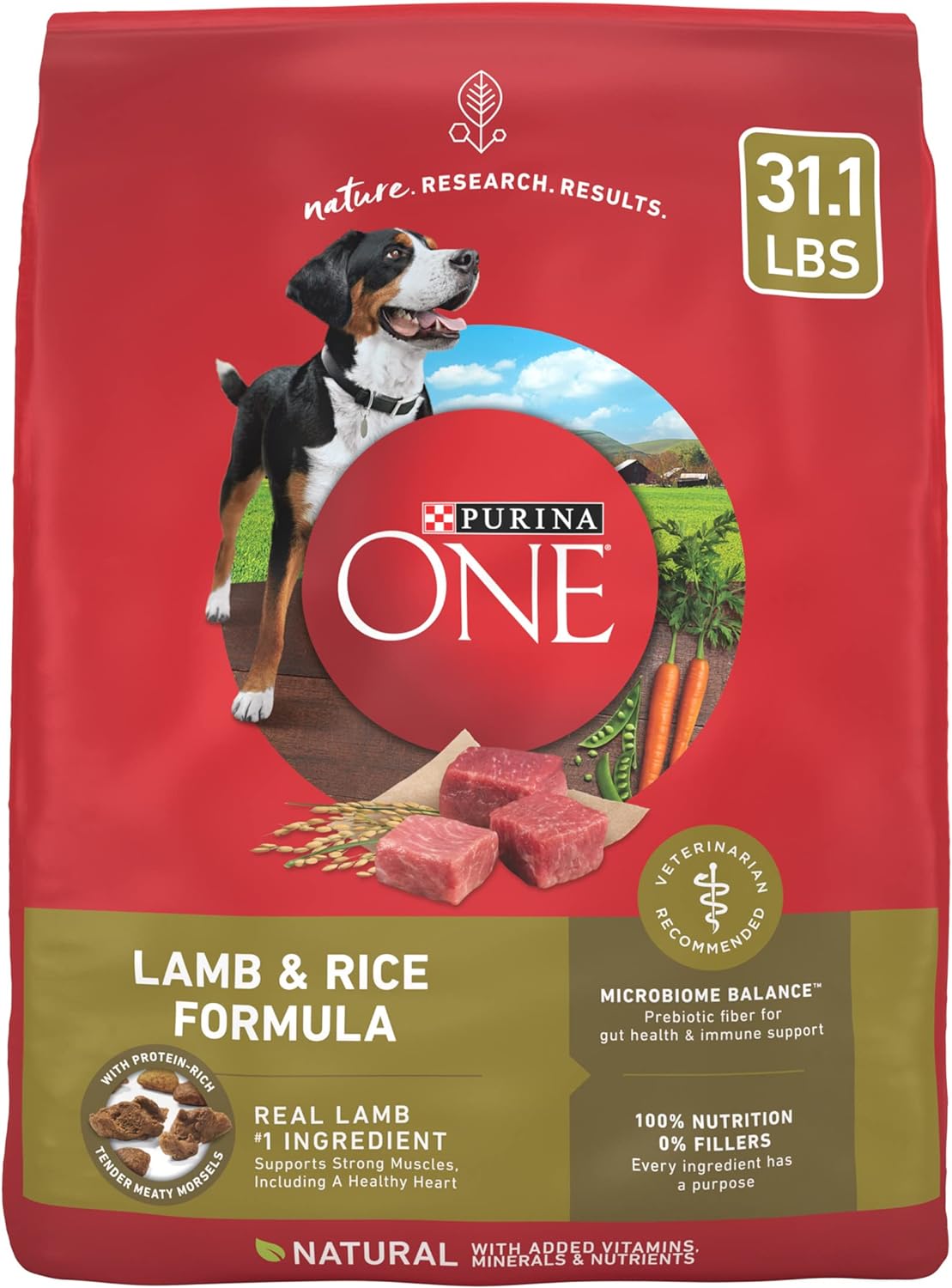 Purina ONE Dry Dog Food