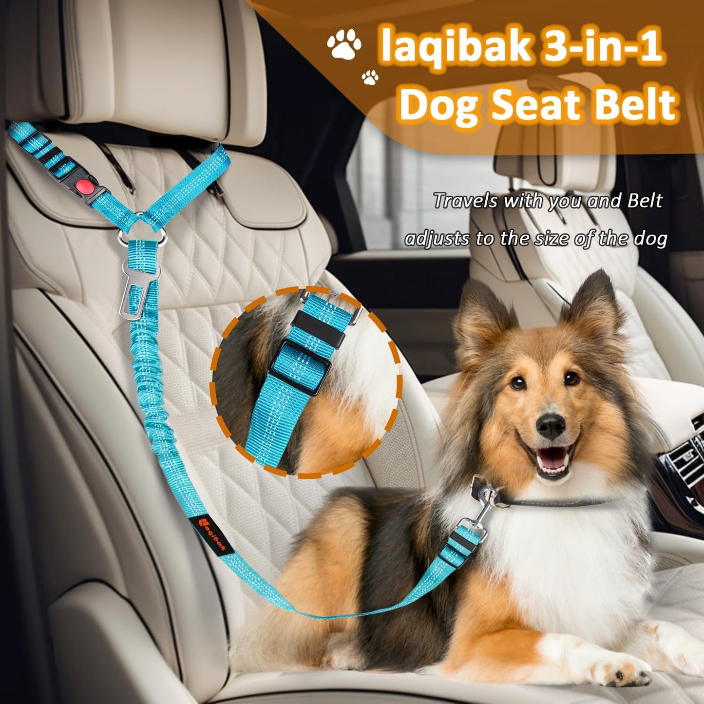 Removable Dog Seat Belt Harness for Car