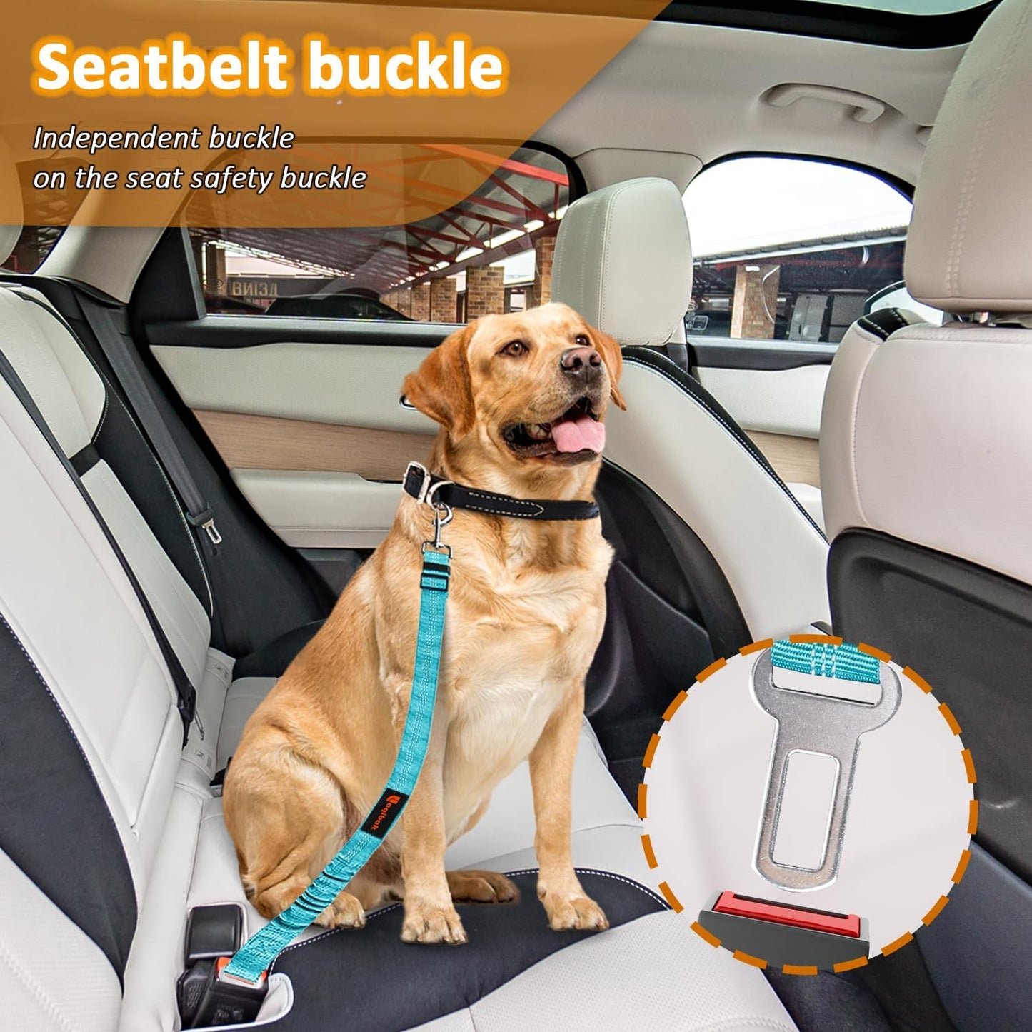 Removable Dog Seat Belt Harness for Car