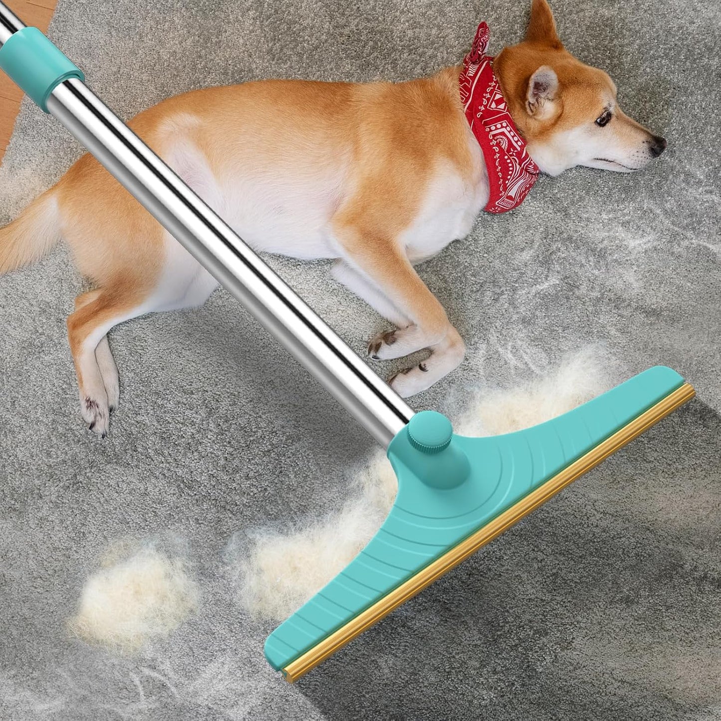 Carpet Rake for Pet Hair Removal