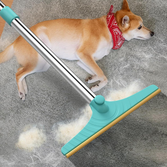 Carpet Rake for Pet Hair Removal