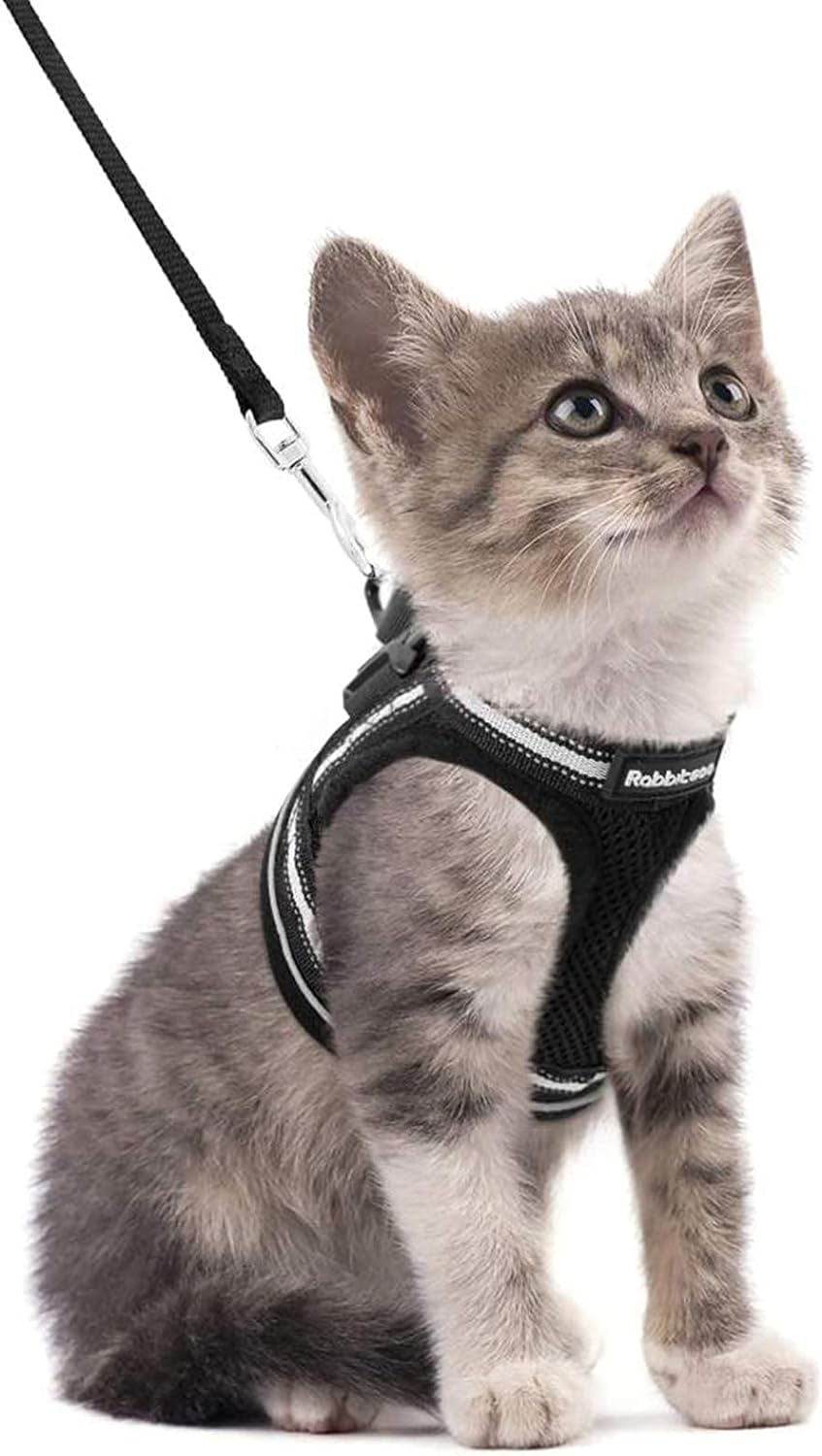 Cat Harness and Leash Set for Walking Escape Proof