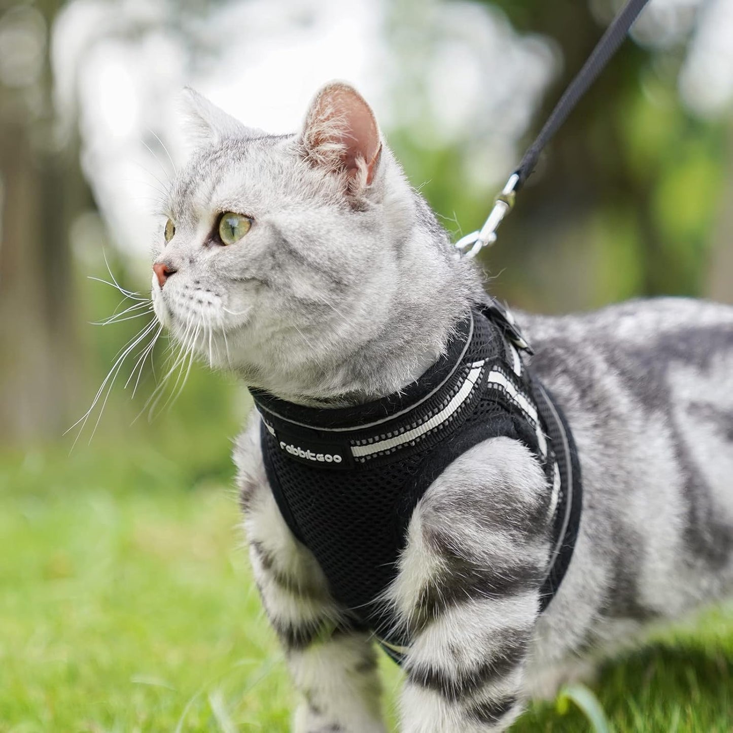 Cat Harness and Leash Set for Walking Escape Proof