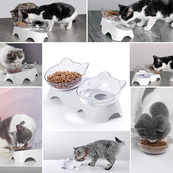 Cat Food Bowls