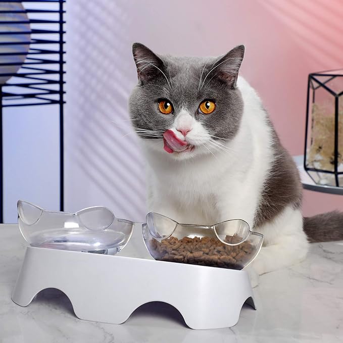 Cat Food Bowls