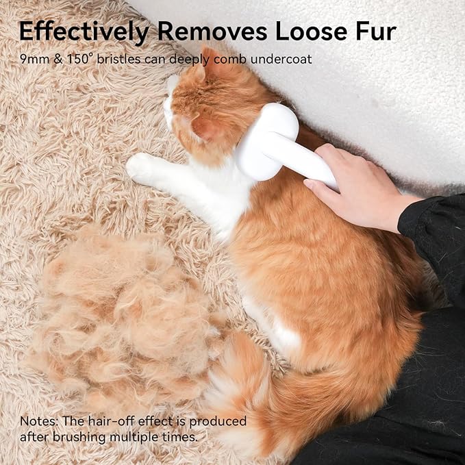 Grooming Brush for Indoor Cats