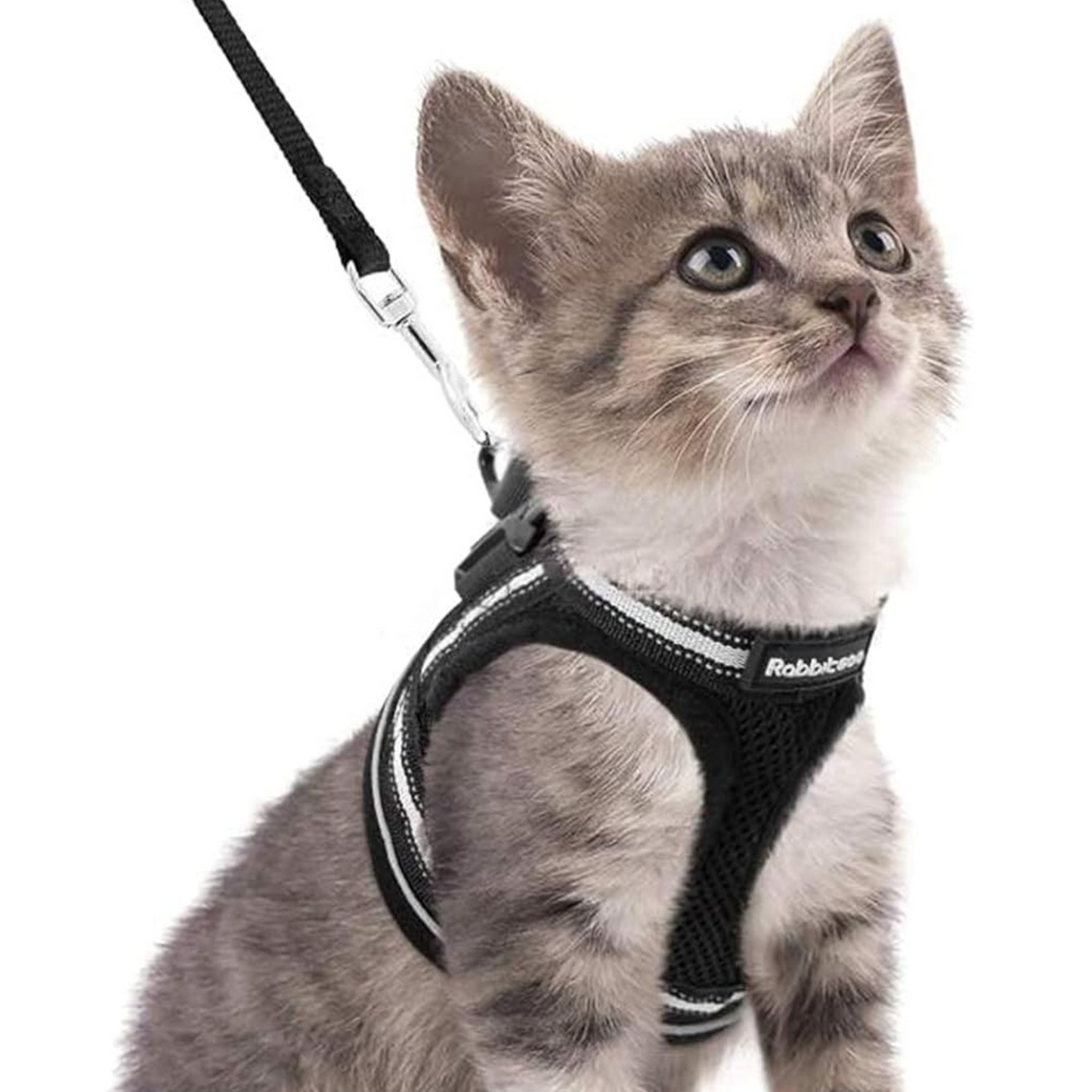 Cat Harness and Leash Set for Walking Escape Proof